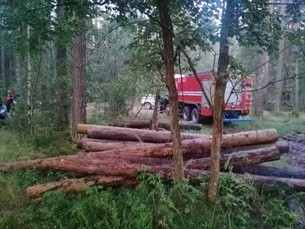 В Свислочском районе заблудились трое подростков. Выйти из леса им помогли спасатели (+видео)