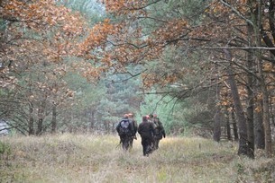 С 1 октября в Беларуси стартует сезон загонной охоты