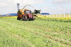 Ход сельхозработ на Свислочинне по состоянию на 8 июня