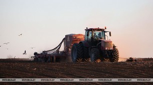 Early spring crops sowing in Belarus 65% complete