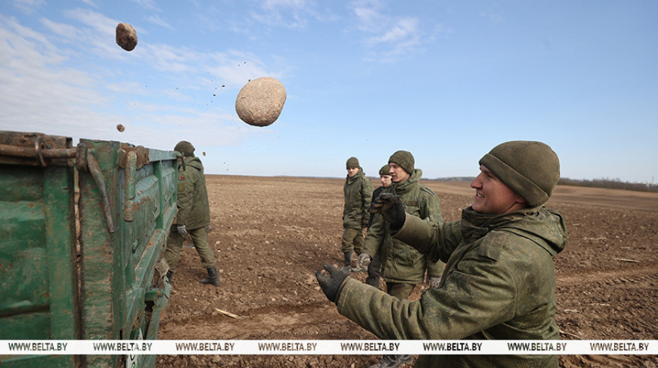 Процентов 60 собрали. Лукашенко по прилете в Гродно напомнил чиновникам о камнях на полях