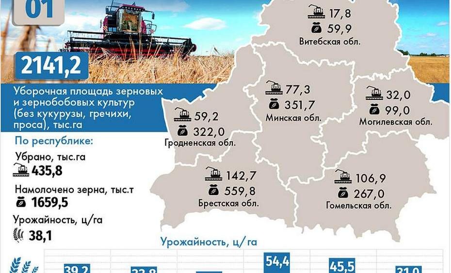 Наибольший прирост урожайности — в Гродненской области: как в Беларуси идут уборочные работы