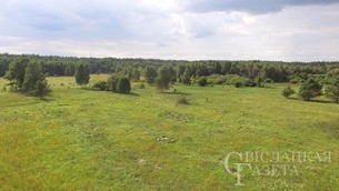 Ограничения на посещение лесов действуют в 14 районах Беларуси