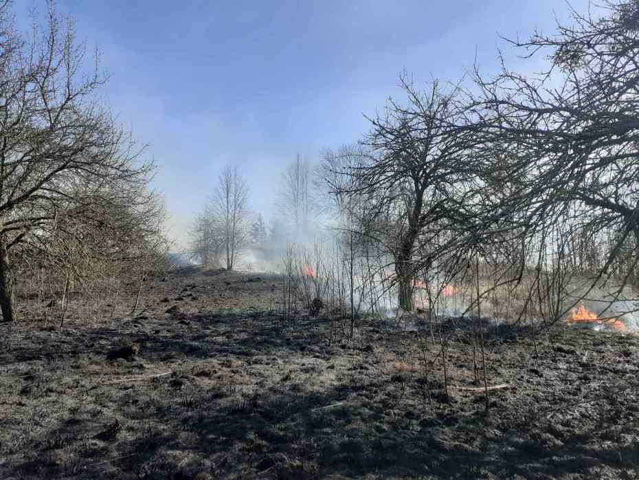 За прошедшие сутки на территории Свислочского района произошло 3 загорания сухой растительности